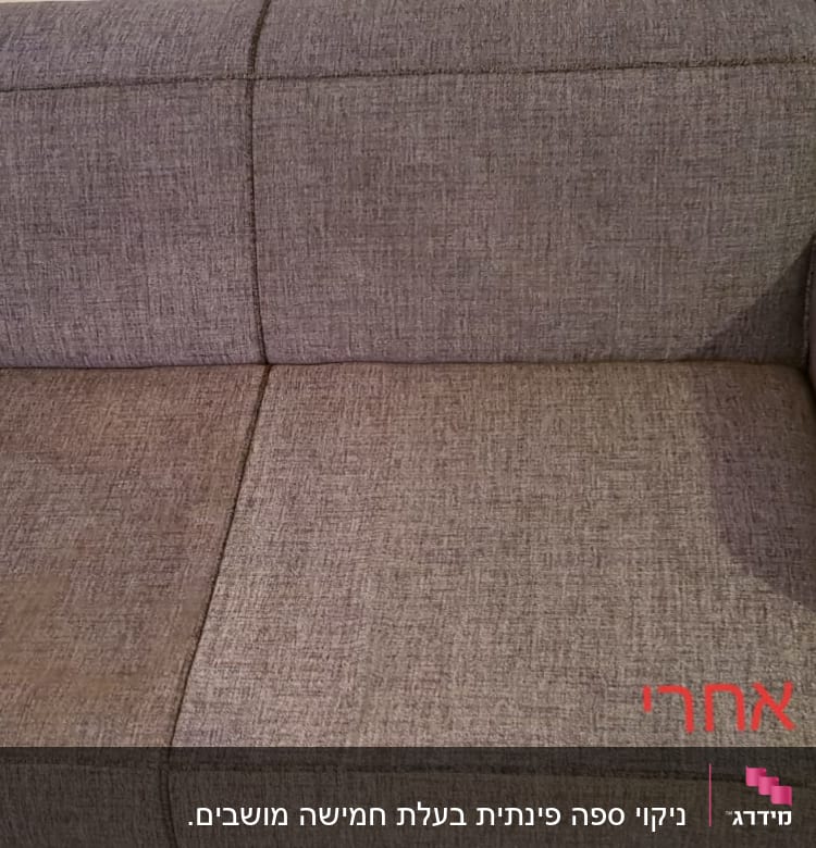ספה עם כתם לפני ואחרי ניקוי